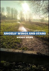 Angels' Wings And Stars